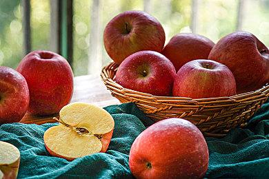 恐龙题材FPS新作《子与骨》9＆4登陆PS5＆PC